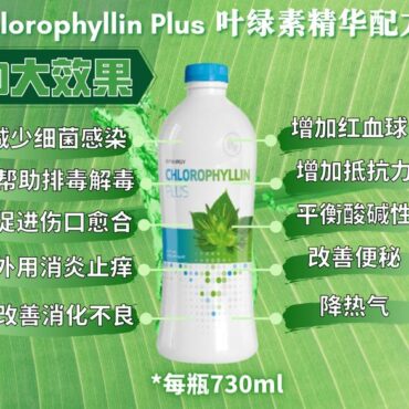 叶绿素精华升级版果汁饮品 Synergy Liquid Chlorophyllin Plus（一瓶730 ml ）